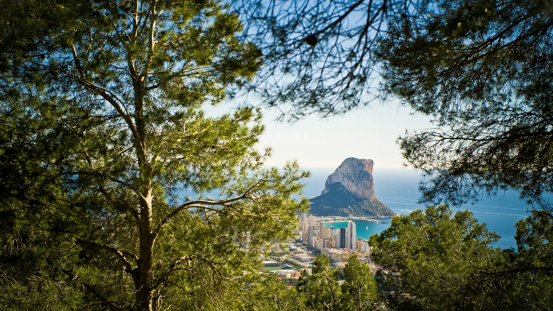 The featured image of this holiday