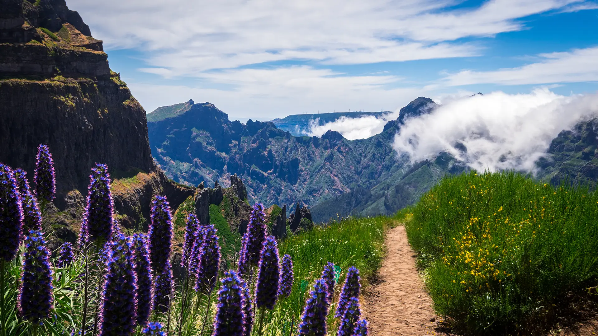 The featured image of this holiday