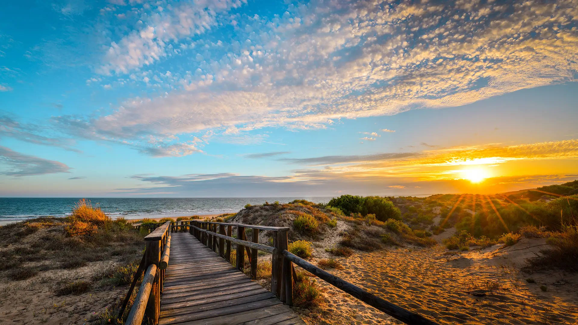 The featured image of this holiday