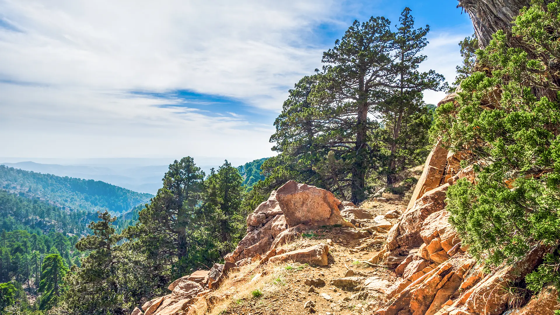 The featured image of this holiday