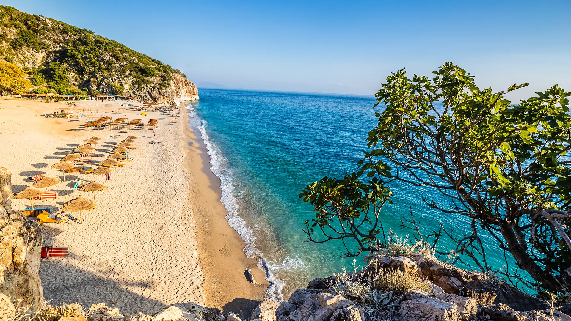 The featured image of this holiday